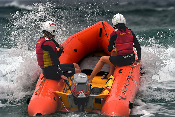 Cornwall Zoom - Summer 24 - 1321