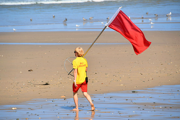 Cornwall Normal - Summer 24 - 0688-2