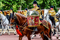 Platinum Jubilee Pageant - The Military - 009