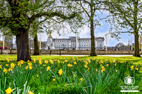 Spring in London