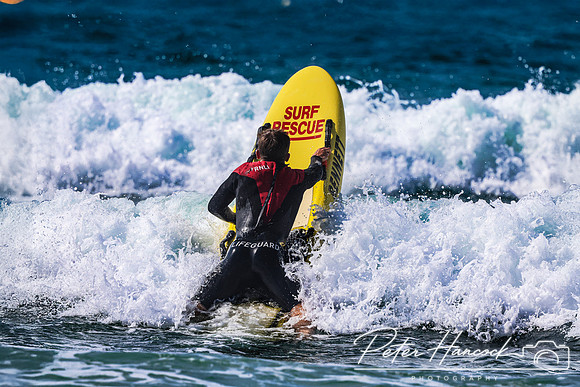 4D9A9733
