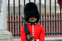 Trooping the Colour 2024 - Zoom - 0056