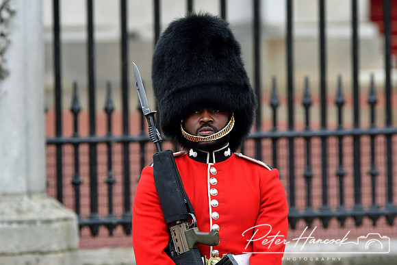 Trooping the Colour 2024 - Zoom - 0056