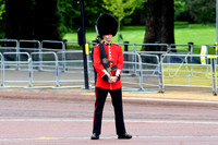 Trooping the Colour 2024 - Zoom - 0058