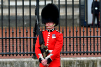 Trooping the Colour 2024 - Zoom - 0059