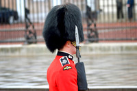 Trooping the Colour 2024 - Zoom - 0061
