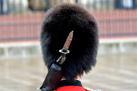 Trooping the Colour 2024 - Zoom - 0065