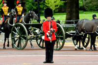 Trooping the Colour 2024 - Zoom - 0073