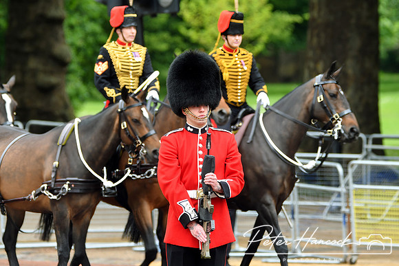 Trooping the Colour 2024 - Zoom - 0076
