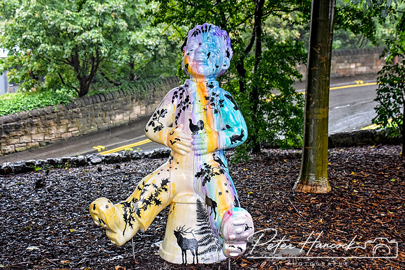 Around Edinburgh025
