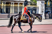 Trooping the Colour (Practice) - 0315