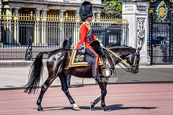 Trooping the Colour (Practice) - 0315