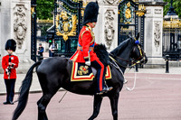 Trooping the Colour - Zoom 0322 - NL