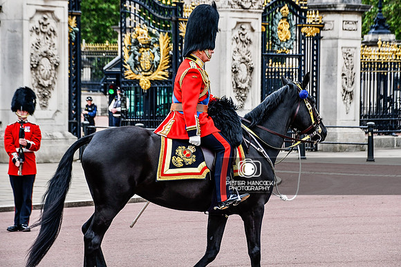 Trooping the Colour - Zoom 0322 - NL