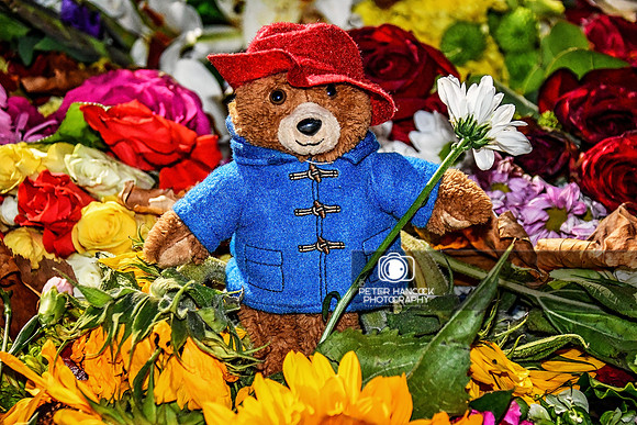 Queen's Funeral Weekend - Sep 22-158-Edit