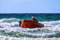 RNLI - Perranporth - Zoom Cam - 00897