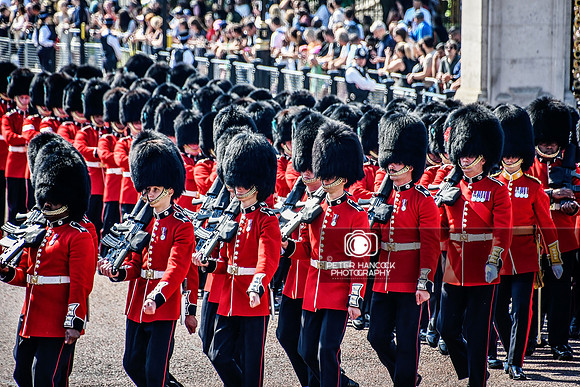 Trooping the Colour (Practice) - 0195-