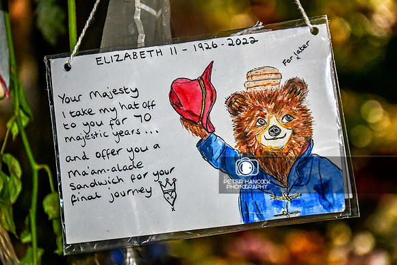 Queen's Funeral Weekend - Sep 22-536-