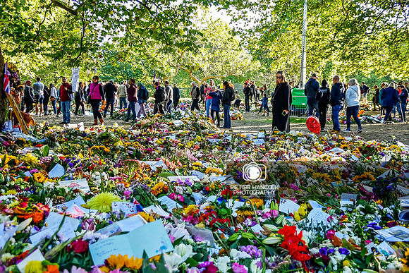 Queen's Funeral Weekend - Sep 22-212