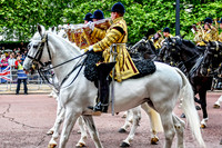 Platinum Jubilee Pageant - The Military - 011