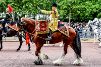 Platinum Jubilee Pageant - The Military - 010