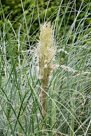 Botanics168