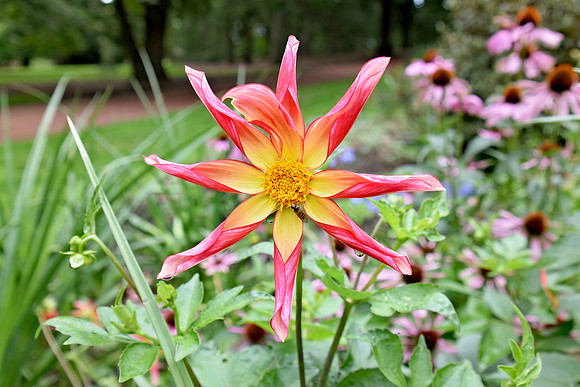 Botanics178