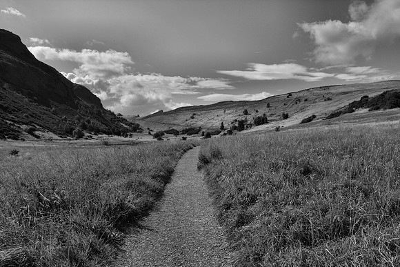 DSC_0528