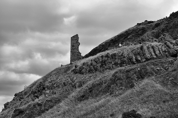 DSC_0542