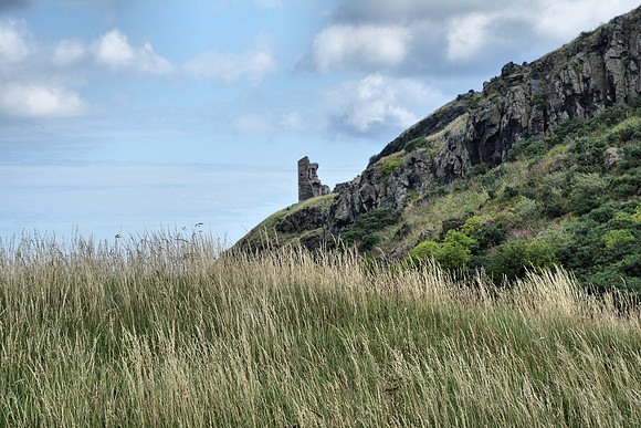 DSC_0541