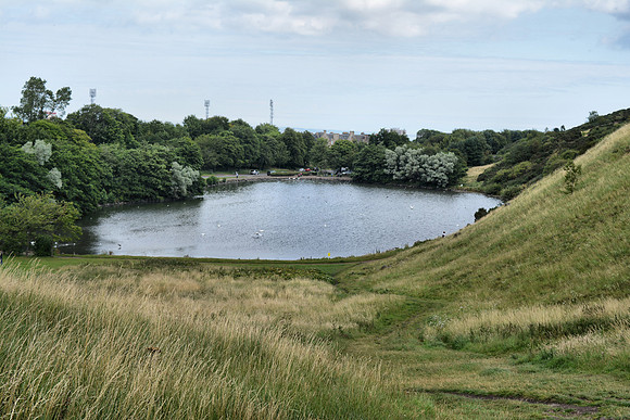 DSC_0544