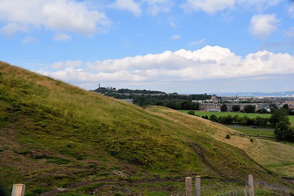 DSC_0560