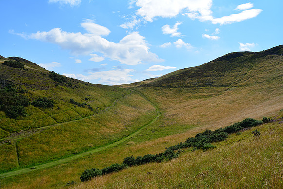 DSC_0623