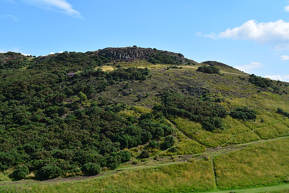 DSC_0624
