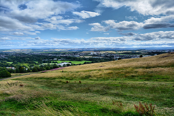 DSC_0769