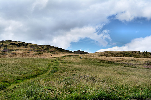 DSC_0795