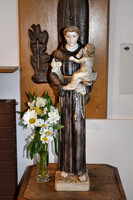 DSC_0707.JPG