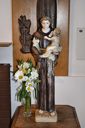 DSC_0707.JPG