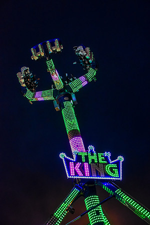 Goosefair169.JPG