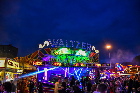 Goosefair161.JPG