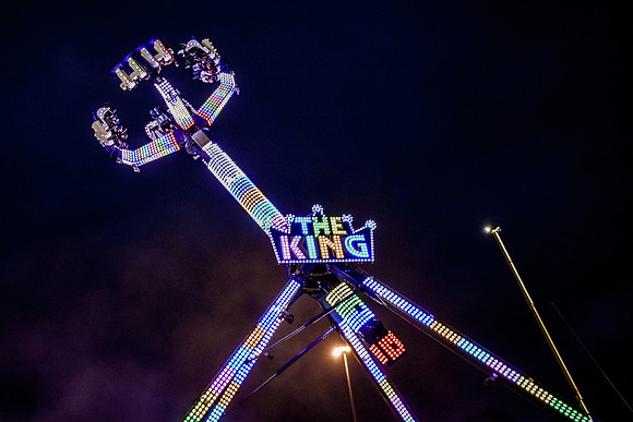 Goosefair166.JPG