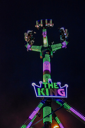 Goosefair170.JPG