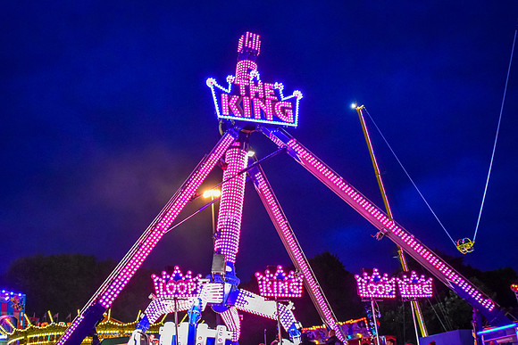 Goosefair173.JPG