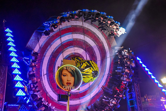 Goosefair181.JPG