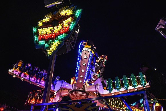 Goosefair185.JPG
