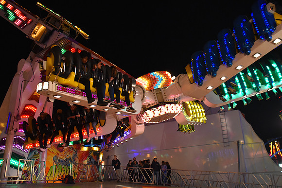 Goosefair191.JPG