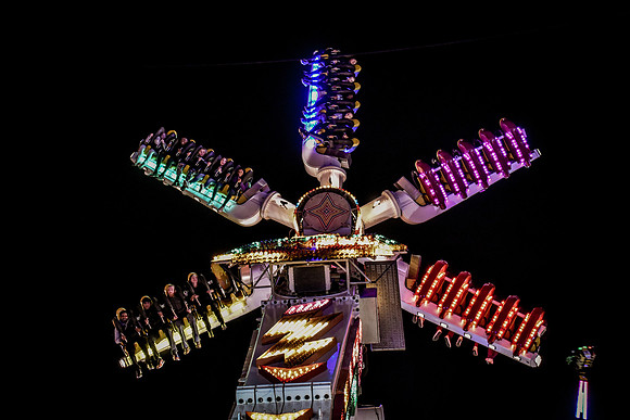 Goosefair188.JPG