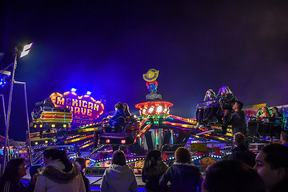 Goosefair194.JPG