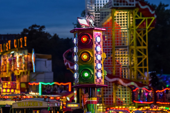 Goosefair195.JPG