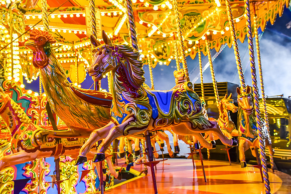 Goosefair196.JPG